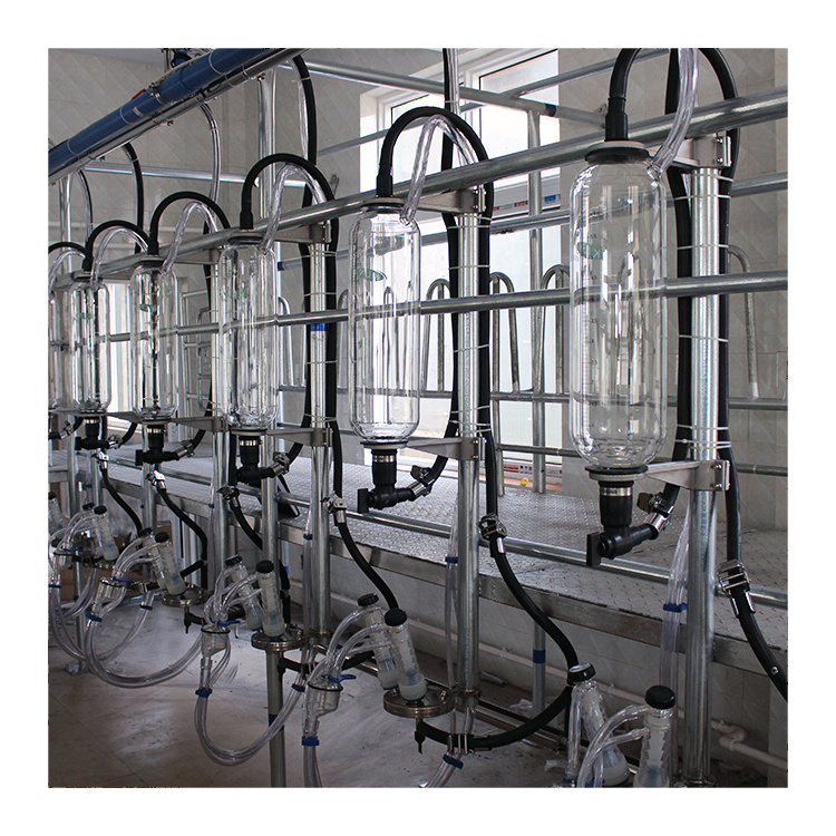 Humanized design herringbone electronic sheep milking parlor equipment for large farm