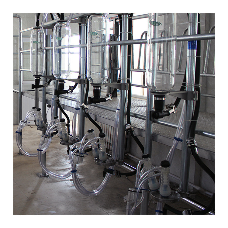 Humanized design herringbone electronic sheep milking parlor equipment for large farm