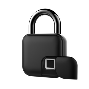 TUYA Bluetooth fingerprint padlock