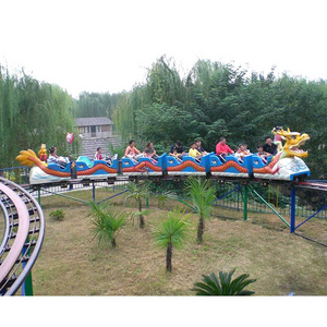 Outdoor Children Dragon Family Backyard Theme Park Roller Coaster For Kids