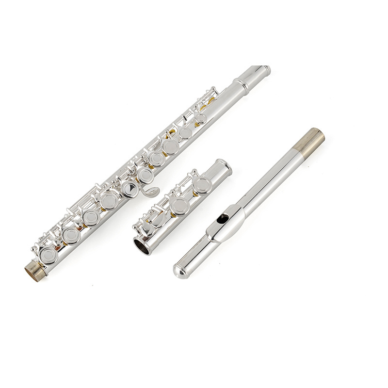 Professional Flute in Musical Instruments Wood Wind Instrument C Tone Offset 16 holes Flute