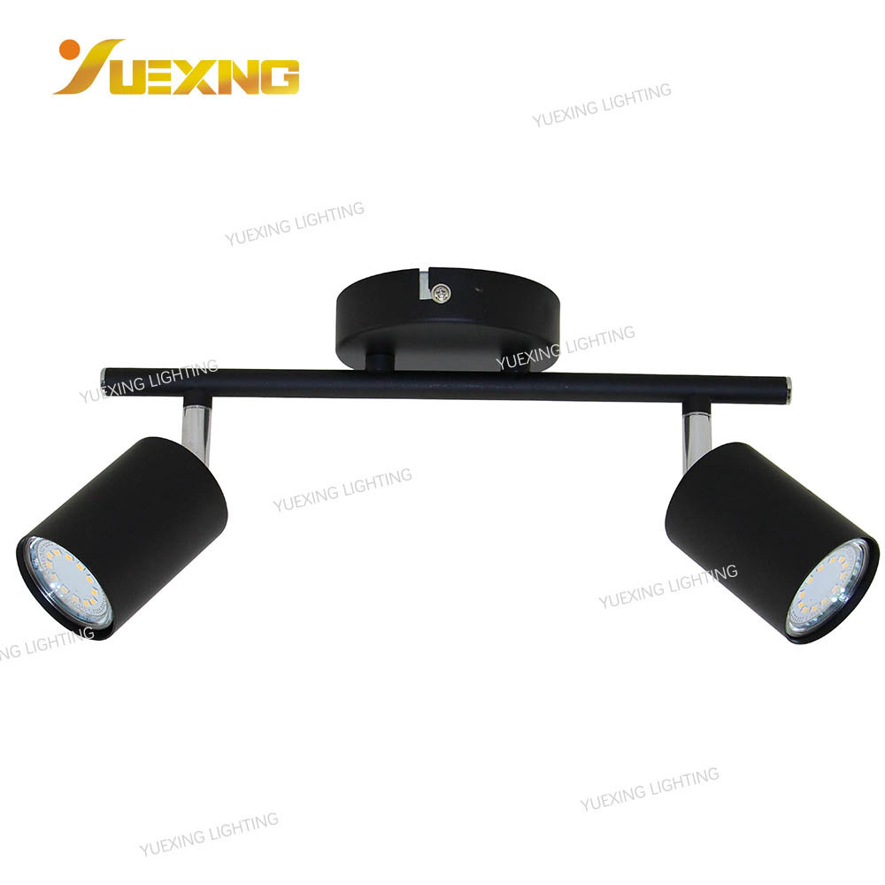 Indoor Round Cylinder Double Head Surface Mounted Metal Wholesale Classical LED GU10 Spot Ceiling Light