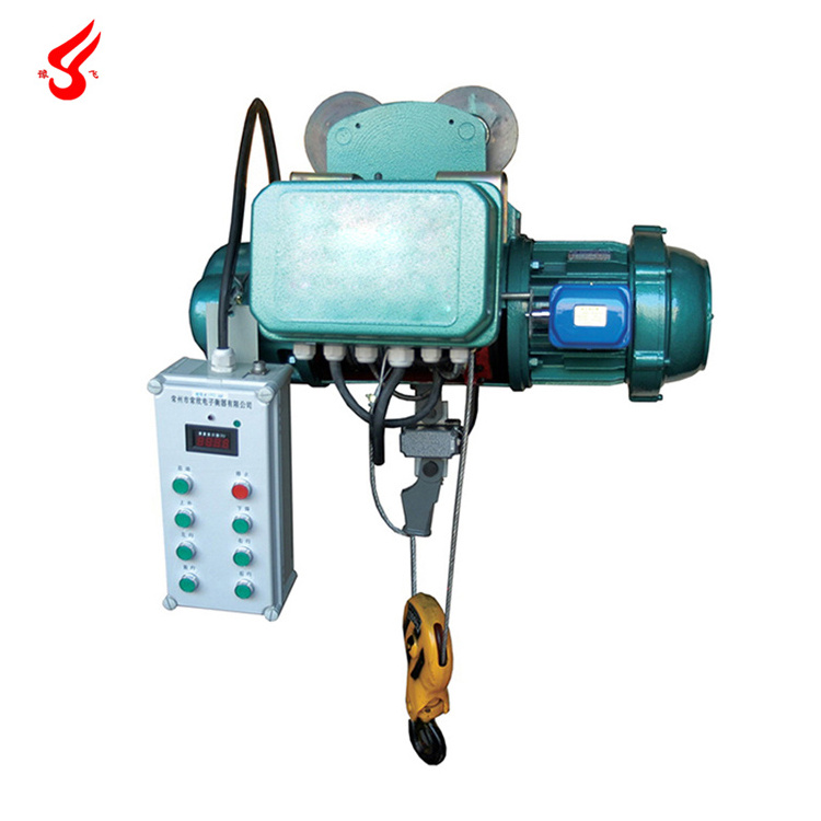 Small 500kg motor lifting electric portable wire rope hoist crane