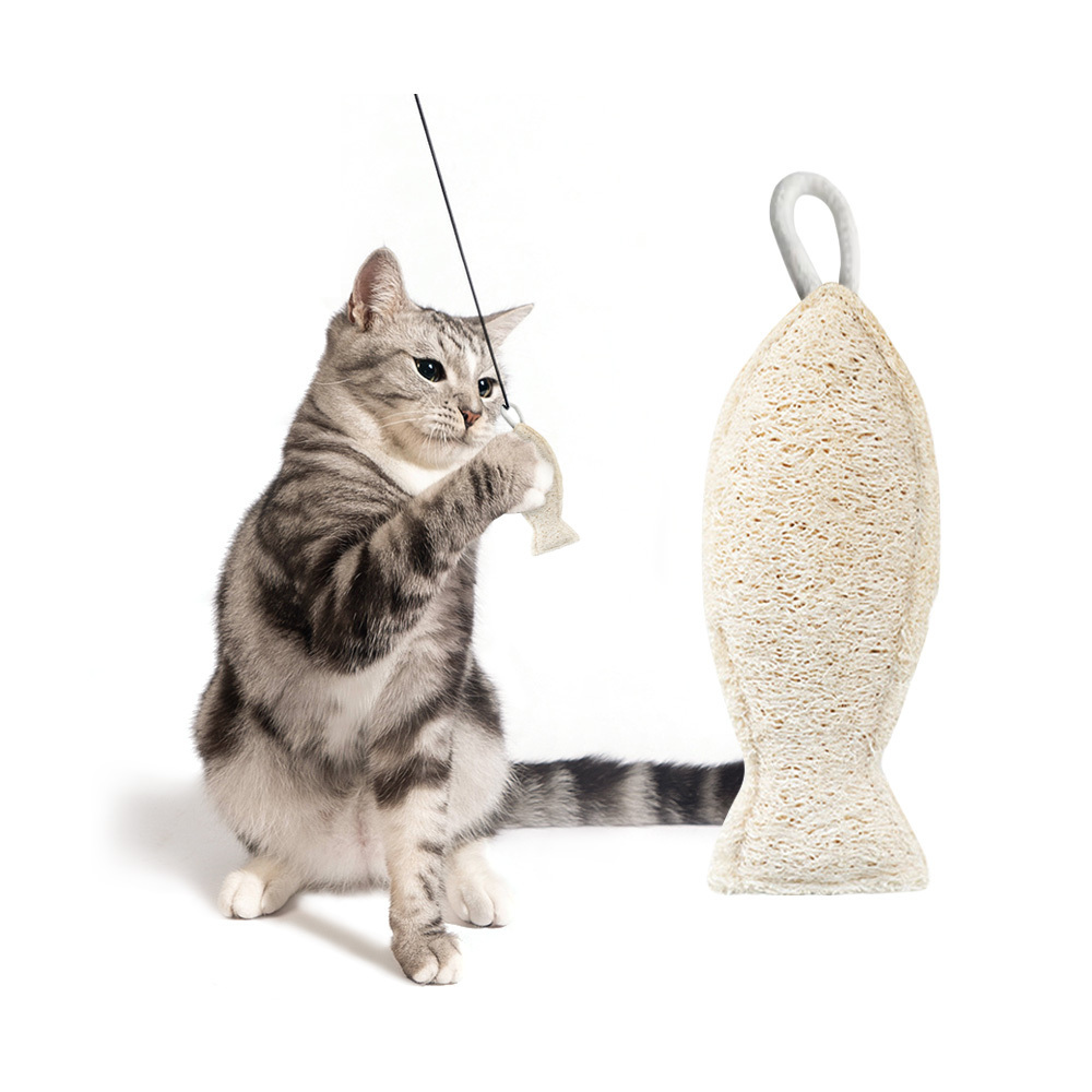 Cat Toy Felt Interactive Pet Cat Bone Puppy Cat Toys For Aggressive Chewers Pets Accessories And Toys