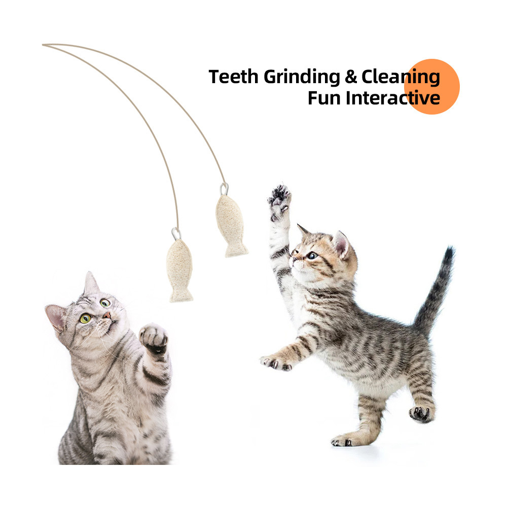 Cat Toy Felt Interactive Pet Cat Bone Puppy Cat Toys For Aggressive Chewers Pets Accessories And Toys