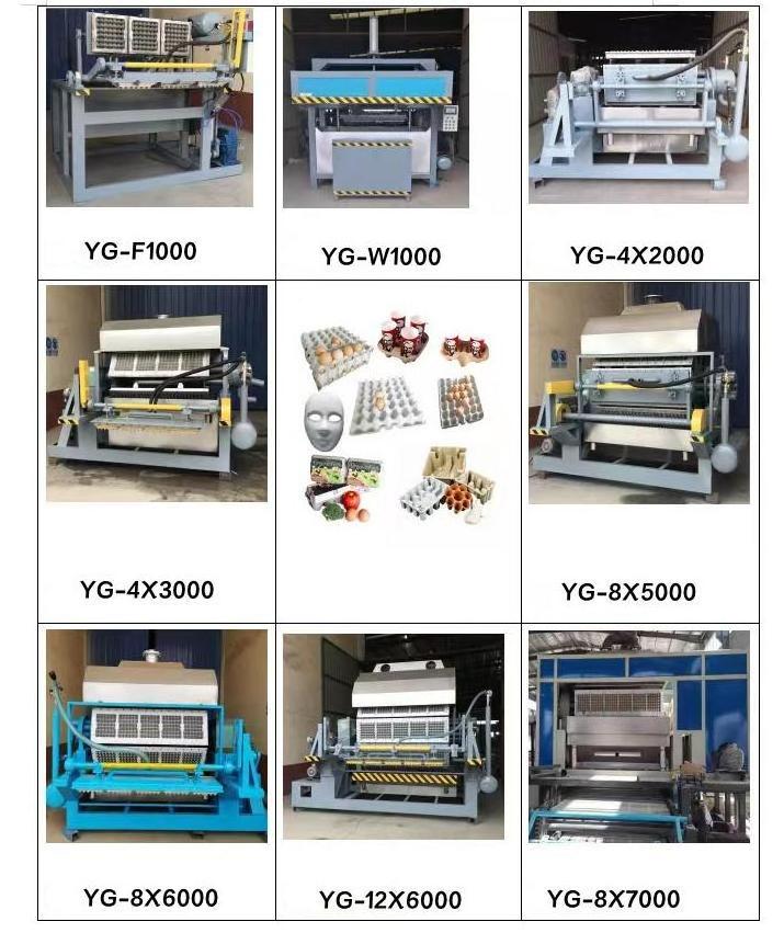 Automatic pulp molding machine table ware packaging Bangladesh egg tray making machine