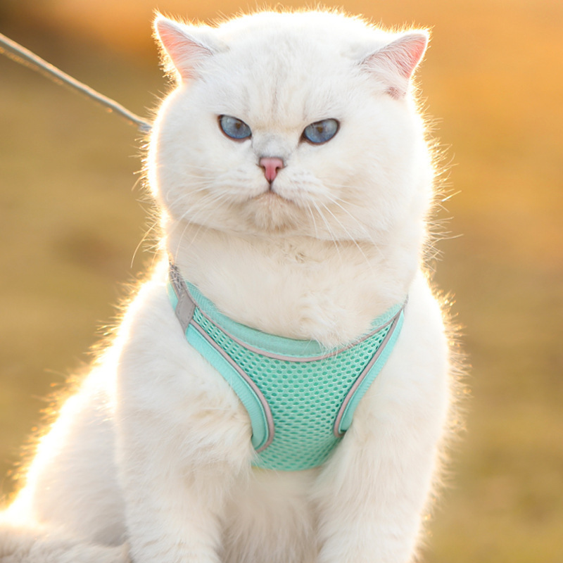 Pet Pulling Rope Vest-Style Chest Strap Out Exclusive For Cats Anti Breaking Loose Bolt Chain