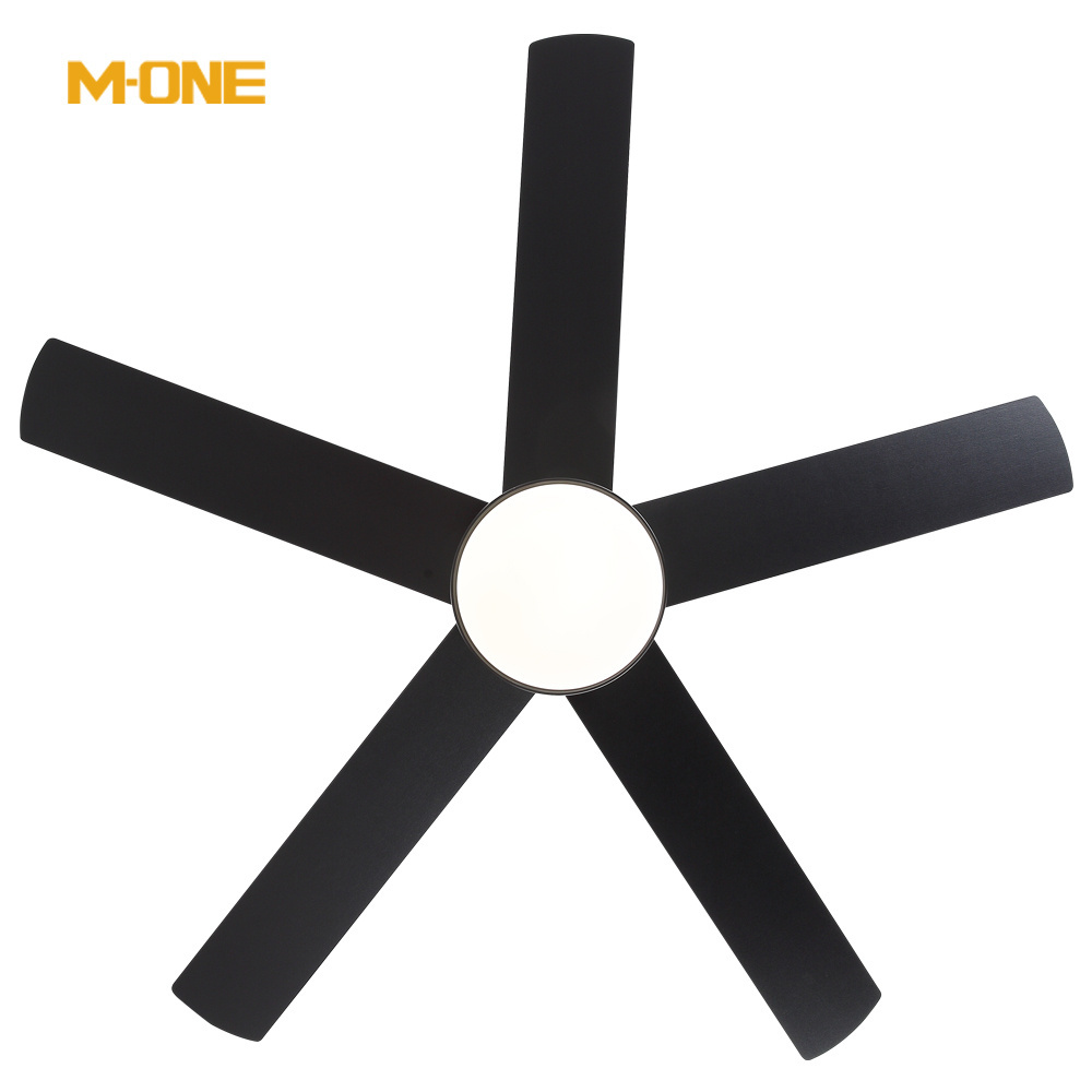 OEM/ODM High Quality Modern Lighting Fixture 52 Inch Plywood Blade Energy Saving AC 220V LED Ceiling Fan With Light