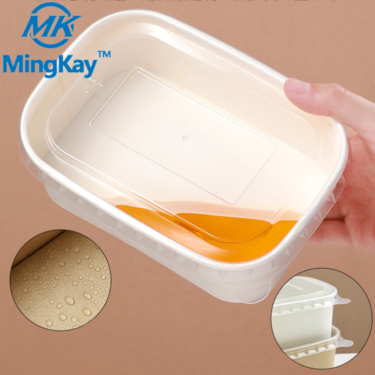 Take Away Packaging Lunch Box Bowl Biodegradable Disposable Aluminum Food Container