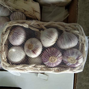 Chinese fresh garlic size 4.5 5.0 5.5cm normal white and pure white alho ajo fresh garlic exporters china solo garlic