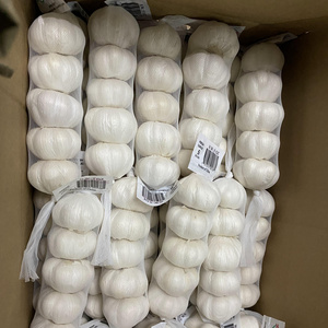 China Export Cheap Garlic Price Normal White Ajo From China fresh red garlic and white garlic size 4.5 5.0 5.5cm  Ajo Ail Alho