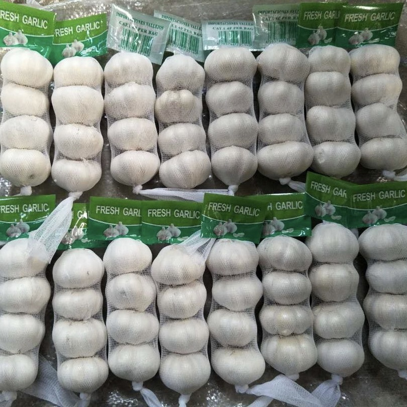 Chinese fresh garlic size 4.5 5.0 5.5cm normal white and pure white alho ajo fresh garlic exporters china solo garlic