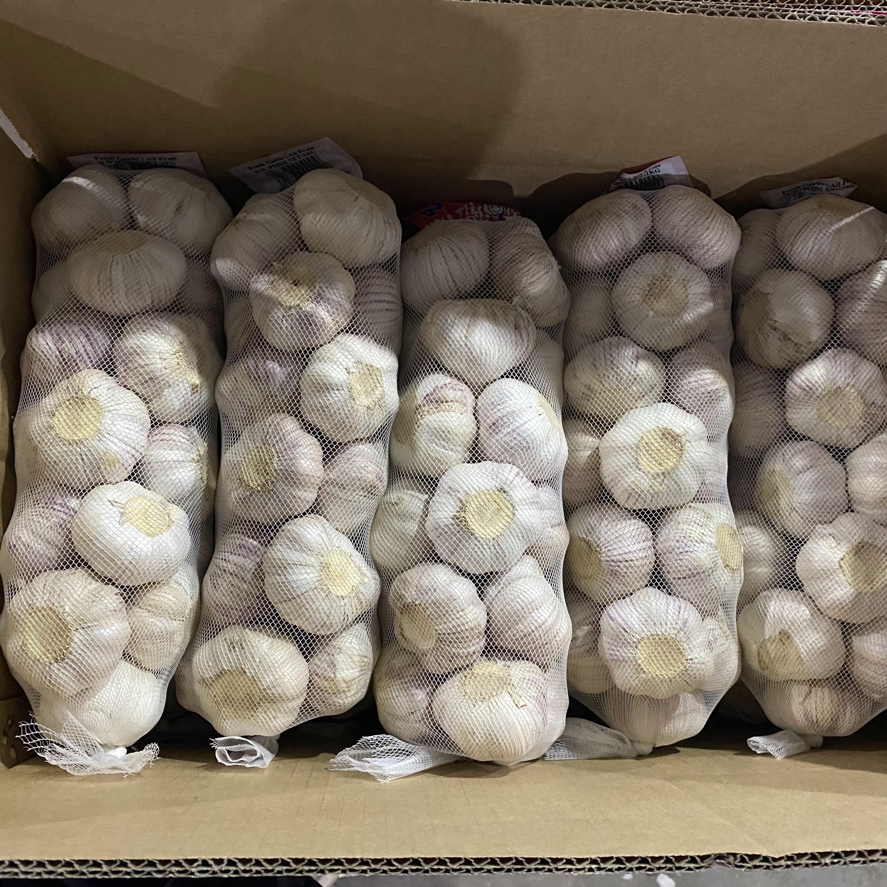 China Export Cheap Garlic Price Normal White Ajo From China fresh red garlic and white garlic size 4.5 5.0 5.5cm  Ajo Ail Alho