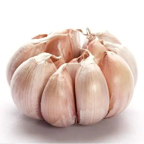 Garlic Price Normal White Ajo From China fresh red garlic and white garlic  Ajo Ail Alho