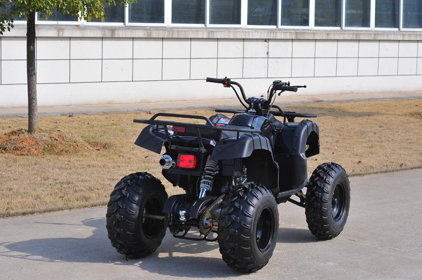 ADULT QUAD BIG  automatic motorcycle used  ATV BIG QUAD brands used motorcycles 4 wheel quad bike 250cc cars  200cc engine atv