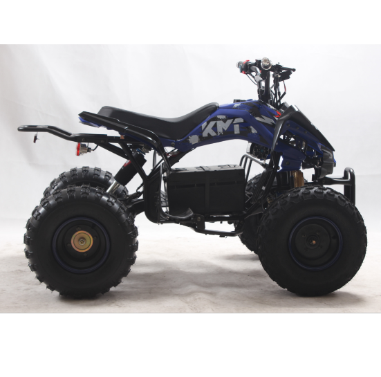 202160V 3000W Quad Adult 4x4 Electric ATV Best Price Superior Quality Hydraulic Disc Brake  Liya mini QUAD