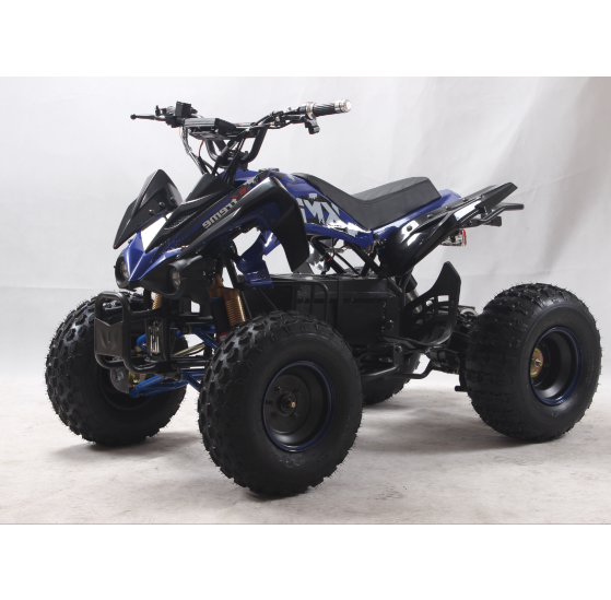 Electric ATV 1500W Brushless motor Europe wearhouse Best Price Superior Quality Quad Bike Utility Buggy 1000W Electric ATV CE