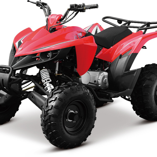 ATV 150cc 200CC 250CC   GY6 engine New Craft  4 Wheel Quad Bike Atv Automatic Automatic Adult Single Cylinder  CVT engine