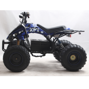 202160V 3000W Quad Adult 4x4 Electric ATV Best Price Superior Quality Hydraulic Disc Brake  Liya mini QUAD