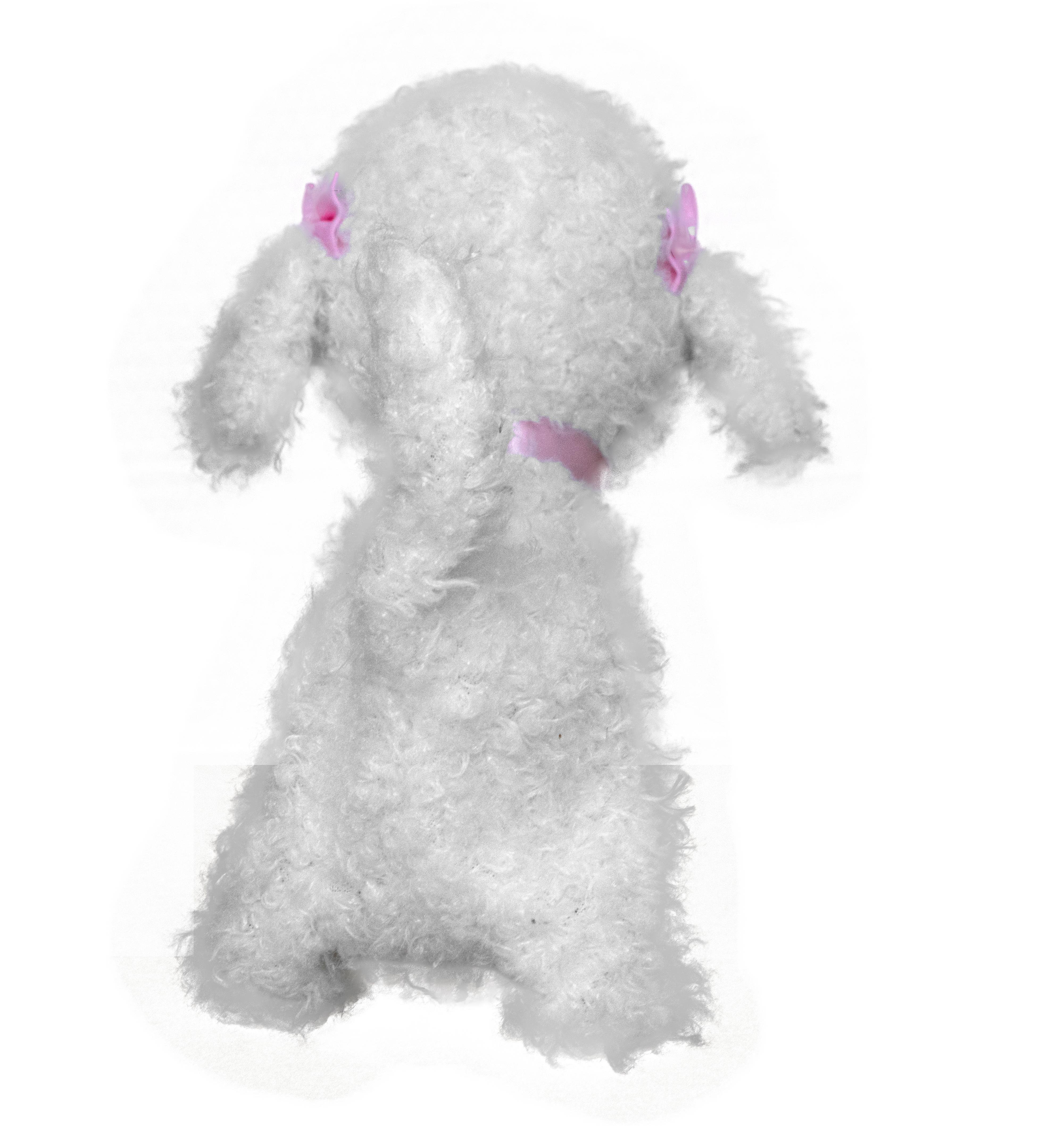 2023 Interactive Teddy Plush Toy Christmas Squeaky Dog Toys for Kids Stuffed Animal Unisex Toy with Sound Dog 100% Soft Plush