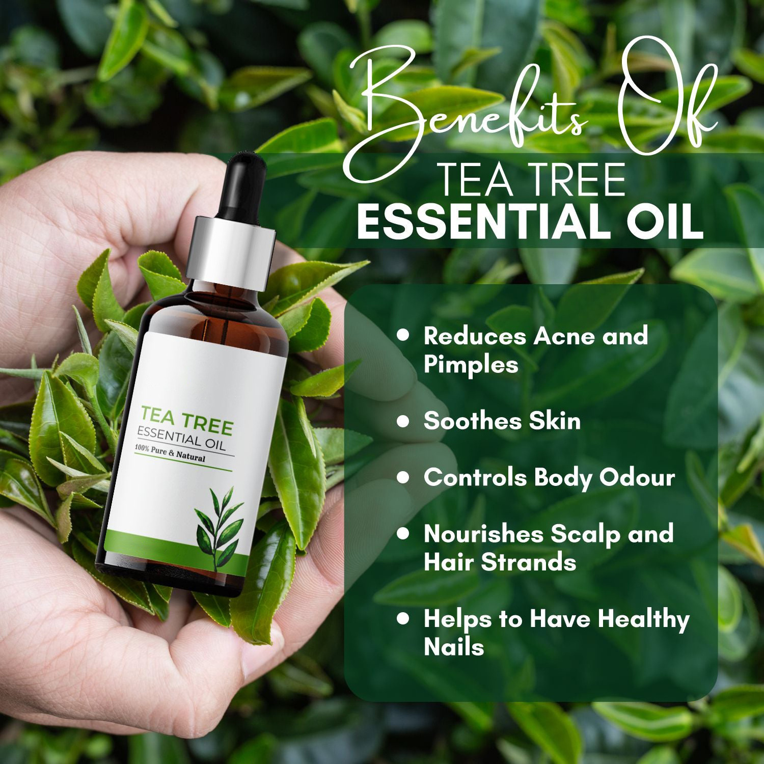 Yujia Natural Organic Tea Tree Essential Oil for Face Massage and Skin Hair Care