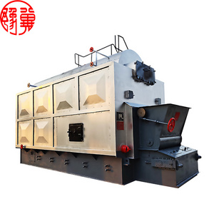 Custom DZL Industrial Solid Fuel Wood Rice Husk Biomass Coal Fired Steam Boiler with Chain Grate