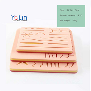 Medical anatomy model human skin model new medical suture pad college teaching practice equipment