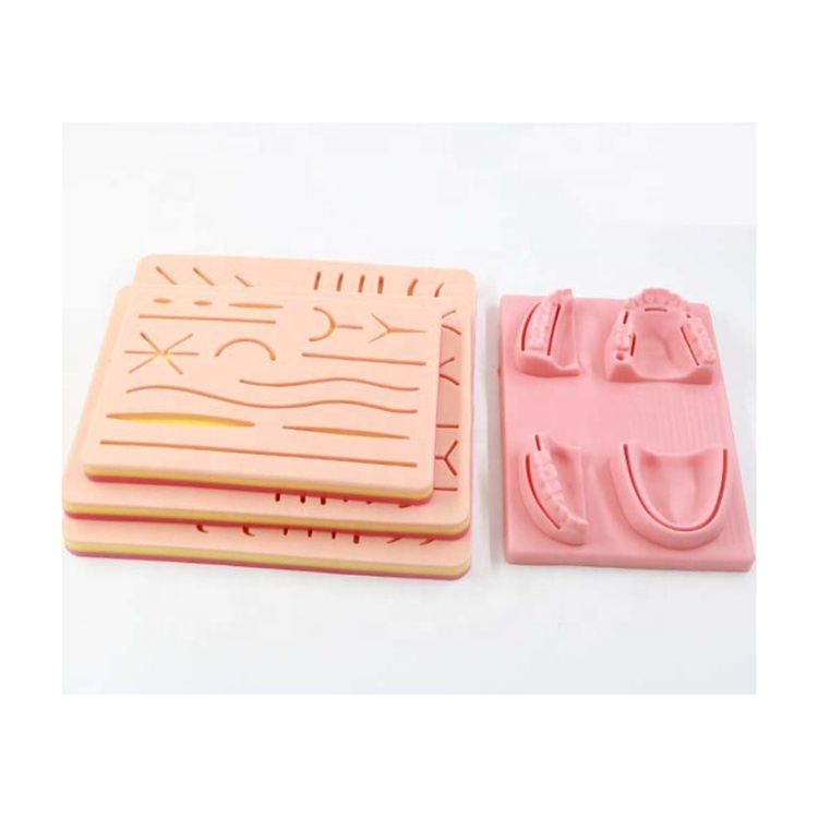 Medical anatomy model human skin model new medical suture pad college teaching practice equipment