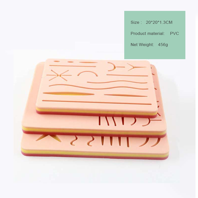 Scientific medical anatomy model human skin model new medical suture pad college teaching equipment