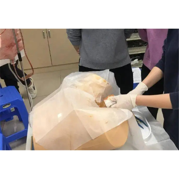 Medical science model human anatomy male and female new electronic catheterization and enema teaching practice model