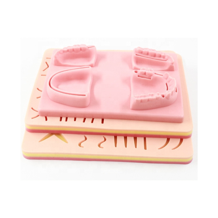 Medical anatomy model human skin model new medical suture pad college teaching practice equipment