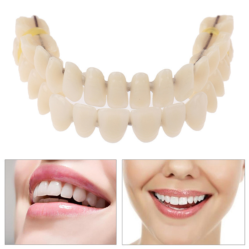 Dental Teaching Materials Double Row Plastic Cavities Simulated Denture Dentition Model