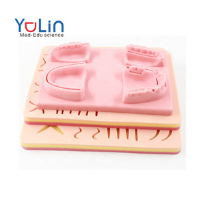 Scientific medical anatomy model human skin model new medical suture pad college teaching equipment