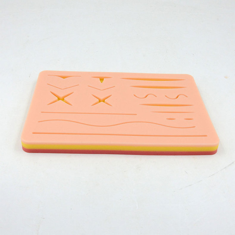 Scientific medical anatomy model human skin model new medical suture pad college teaching equipment