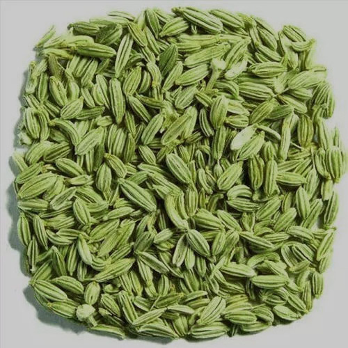 Huaran Chinese Spice Wholesale  Origin Direct Selling High Quality Domestic Special Whole Fructus Foenicu Green Fennel Seeds