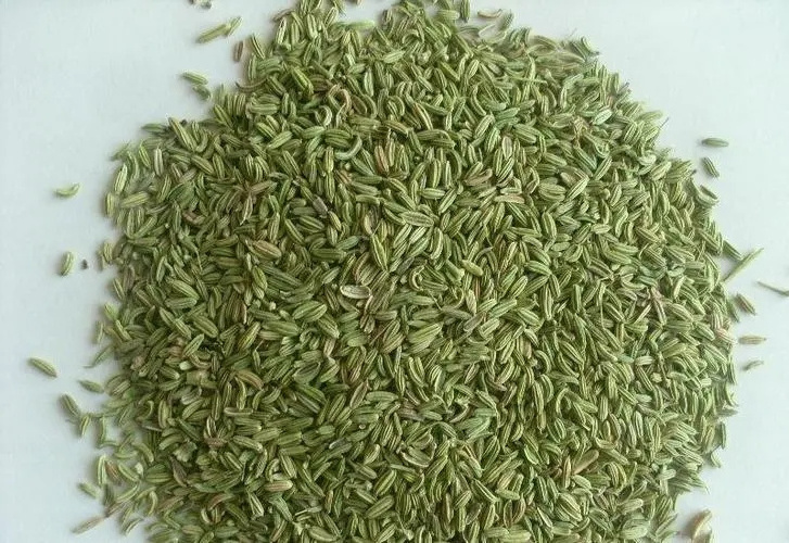 Huaran Chinese Spice Wholesale  Origin Direct Selling High Quality Domestic Special Whole Fructus Foenicu Green Fennel Seeds