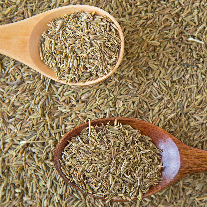 ZZH Factory directly sells high-quality cumin noir spices and exports cumin seeds to India at a price