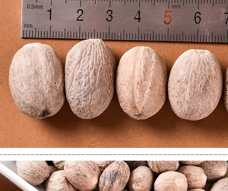 Wholesale high quality spice dried mace nutmeg factory price cardamom whole nutmeg