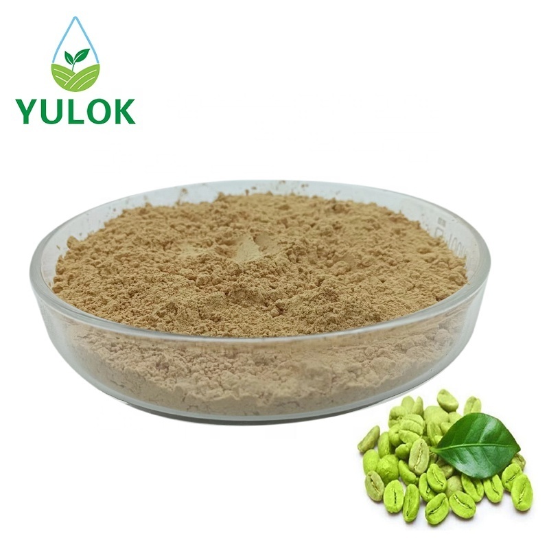 Wholesale Bulk Green Coffee Bean Extract 100% Purity Green Coffee Bean Powder