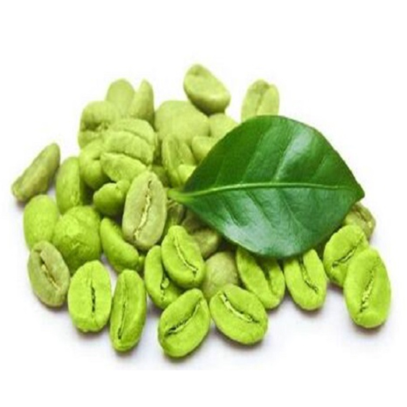 Wholesale Bulk Green Coffee Bean Extract 100% Purity Green Coffee Bean Powder