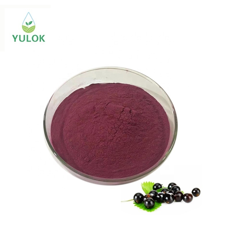 High Quality Black Currant Fruit Extract Organic Black Currant Fruit Juice Concentrate Powder