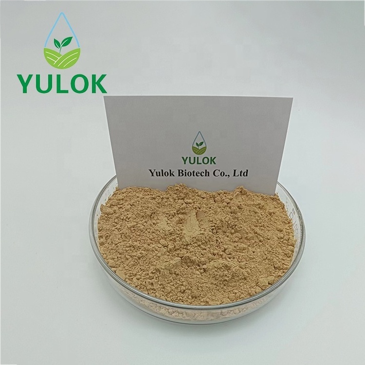 Wholesale Bulk Green Coffee Bean Extract 100% Purity Green Coffee Bean Powder