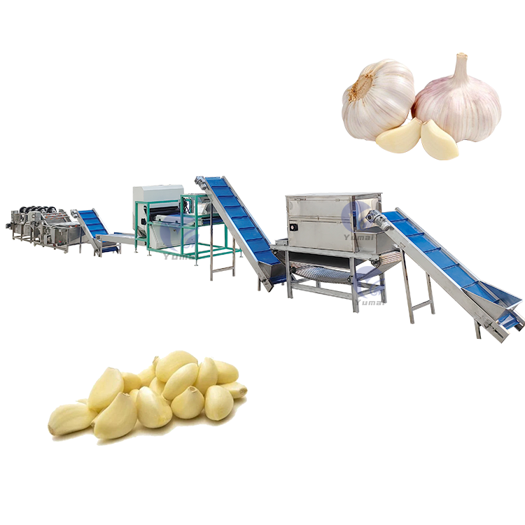 Automatic Garlic Peeling Splitter Breaking Skin Removing Machine Garlic Peeling Processing Plant