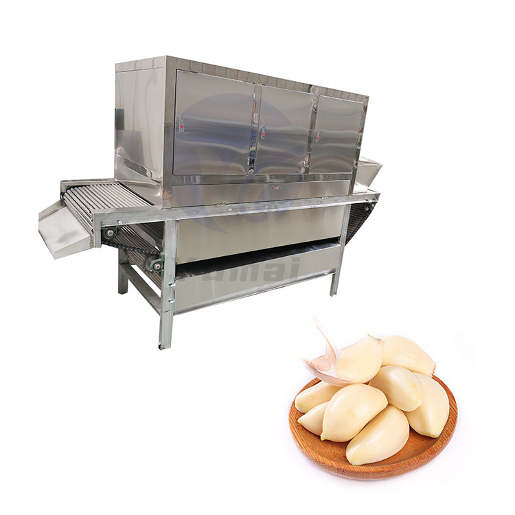 New Type Electric Garlic Peeler Price of Garlic Peeling Machine with Air Compressor