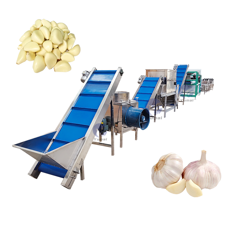 Automatic Garlic Peeling Splitter Breaking Skin Removing Machine Garlic Peeling Processing Plant