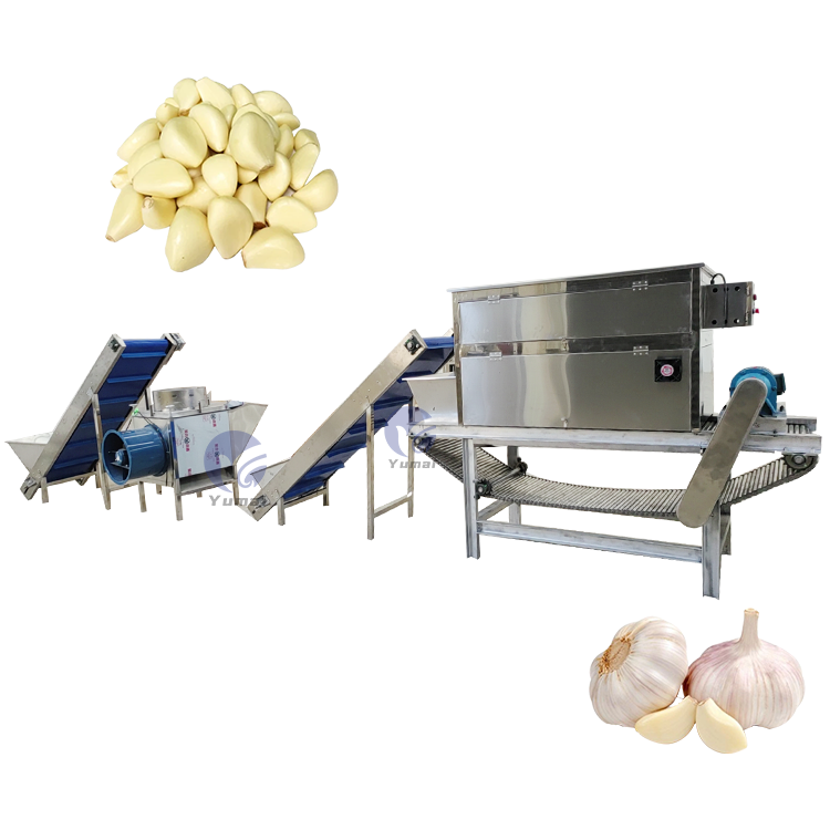 Automatic Garlic Peeling Splitter Breaking Skin Removing Machine Garlic Peeling Processing Plant