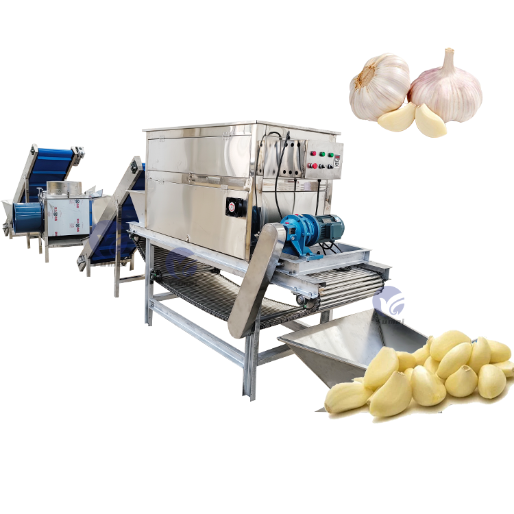 Automatic Garlic Peeling Splitter Breaking Skin Removing Machine Garlic Peeling Processing Plant