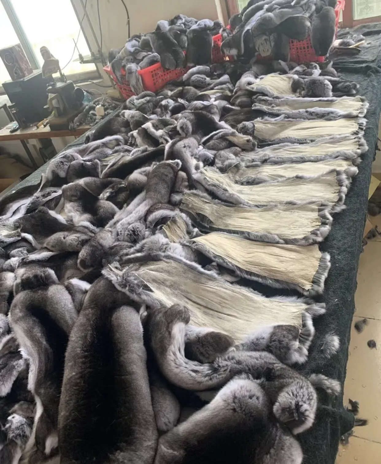 RXFurs Manufacturer High Quality Natural Animal Skins Women Men Luxury Real Genuine Chinchilla Fur Coat