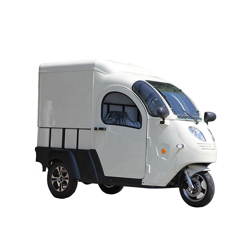 New energe small mini electric cargo van truck made in China