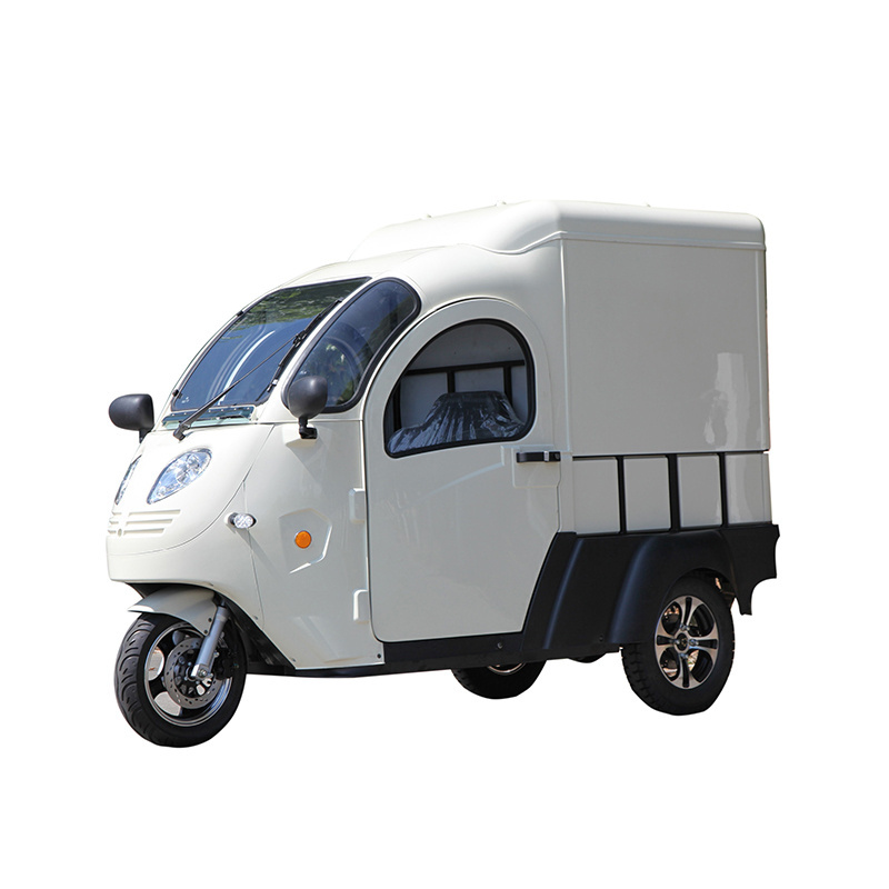 New energe small mini electric cargo van truck made in China